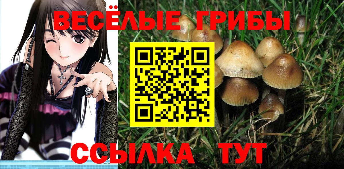 Псилоцибиновые грибы ЛСД Коломна